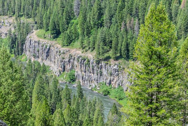 Palisades over the river