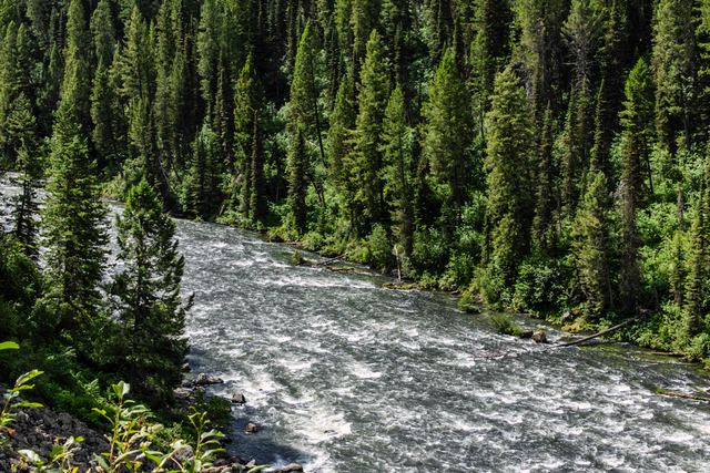 Whitewater