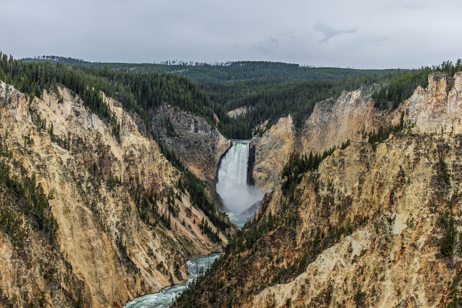 Lower Falls of the Yellowstone River plunging into its golden canyon