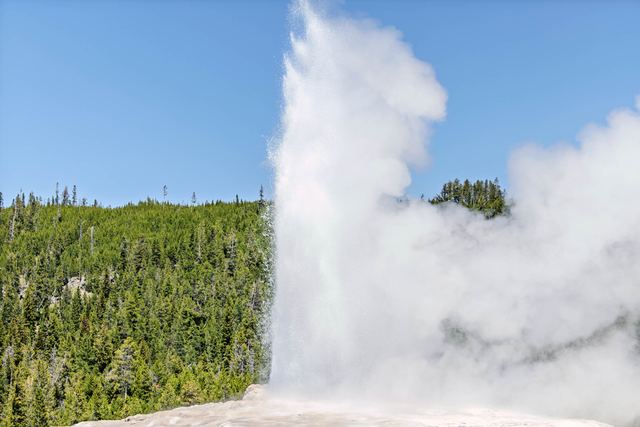 Old Faithful