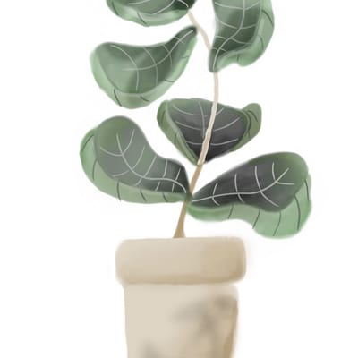 Fiddle Leaf Fig — Digital, 2021