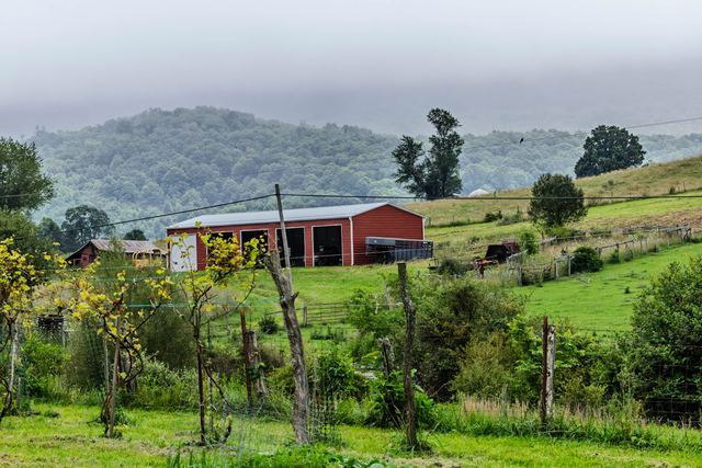 Red barn in the fog